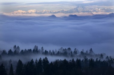 Seattle Under the Fog clipart