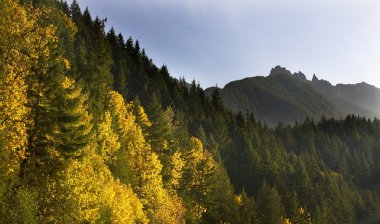 Fall Colors Stevens Pass Leavenworth Washington clipart