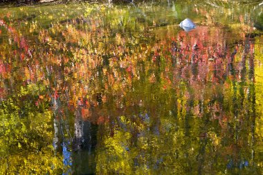 Fall Colors Wenatchee River Reflections Abstract Stevens Pass Le clipart