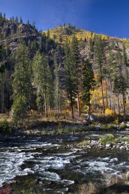 Fall Colors Wenatchee River Yellow Trees Mountain Stevens Pass L clipart