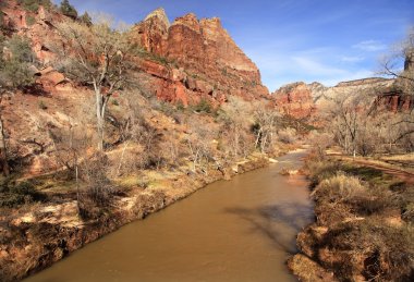 Virgin river zion Kanyon Milli Parkı utah