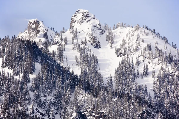Zasněžené vrcholky snoqualme hora Aljašky předat wenatchee národní fores — Stock fotografie