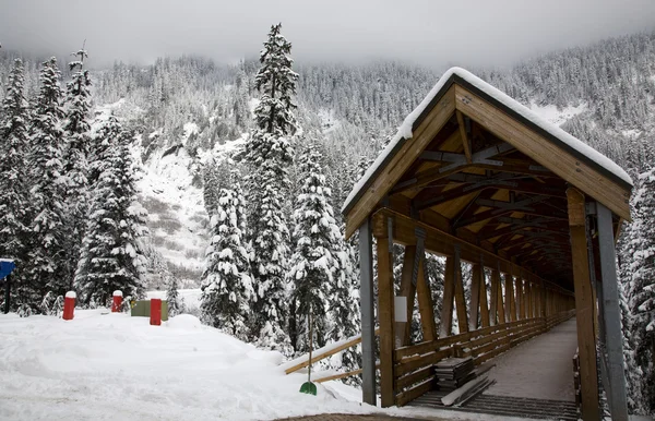 Ponte coberta de madeira Snowy Trees Washington — Fotografia de Stock