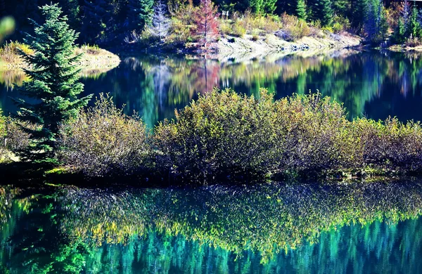 Colori autunnali Gold Lake YReflection Snoqualme Pass Washington — Foto Stock