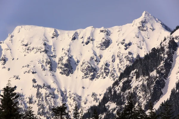 Besneeuwde berg chikamin piek snoqualme pass wenatchee nationale voren — Stockfoto