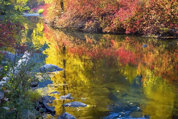 Couleurs d'automne profond Wenatchee River Stevens Pass Leavenworth Washin — Photo