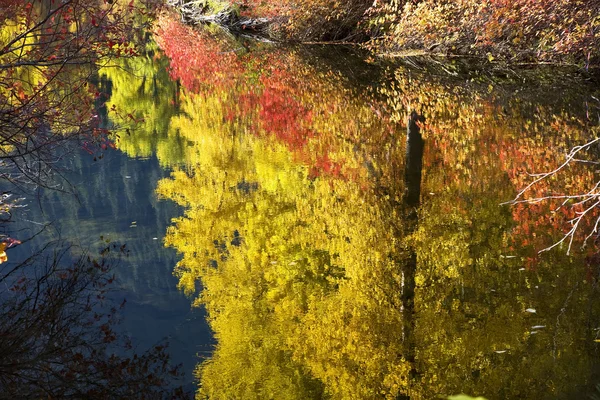 秋の色、近いワナッチー川をスティーブンス渡すワシントン州レブンワース — ストック写真