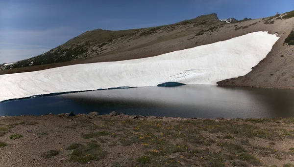 Montagna della neve lago ghiacciato riflessione mount rainier alba — Foto Stock