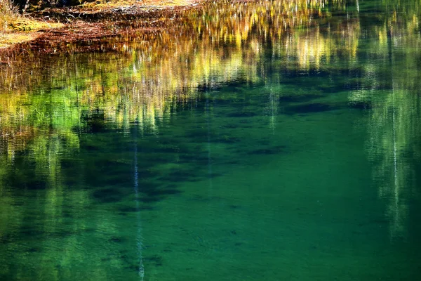 Yeşil yosun Altın Göl sarı yansıma snoqualme geçmek washington — Stok fotoğraf