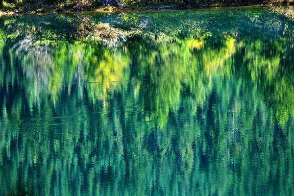 Green Yellow Trees Fall Reflection Gold Lake Snoqualme Pass Wash — Stock Photo, Image