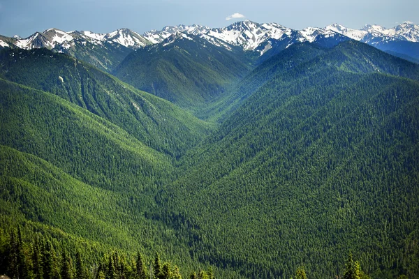 Grüne Täler immergrüne Schneeberge orkanartige Bergrücken olympisch — Stockfoto