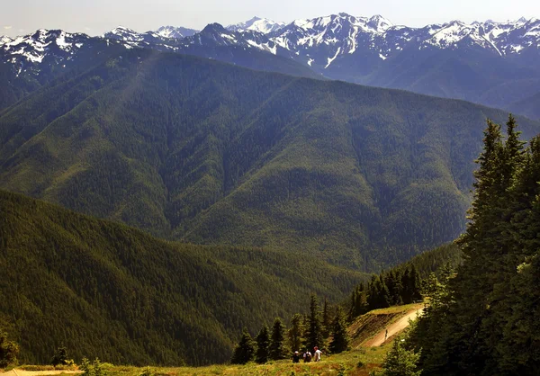 Senderismo Valles Verdes Evergreens Montañas de Nieve Huracán Ridge — Foto de Stock