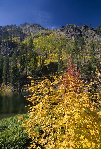 Herbst Farben gelb Bergsee leavenworth washington — Stockfoto