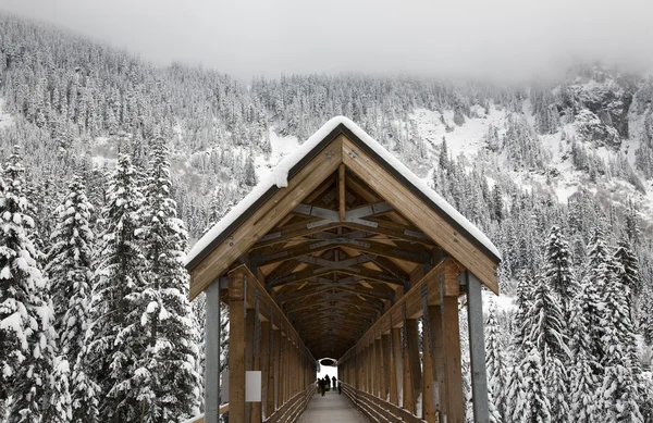 Lang besneeuwde overdekte houten brug washington — Stockfoto