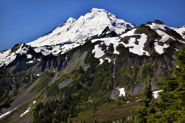 Mount Baker do Ponto de Artista Estado de Washington — Fotografia de Stock