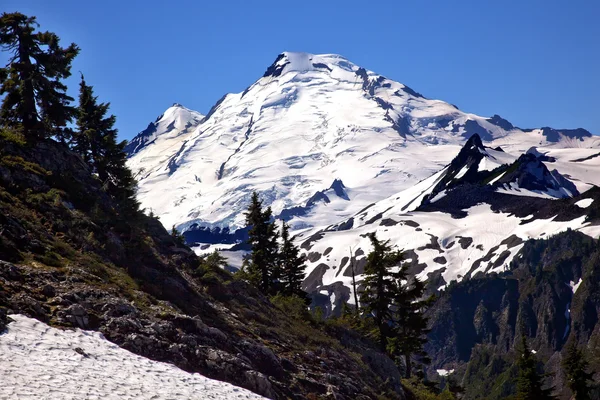 Гора Бейкер сніг Вічнозелені рослини зі штату Вашингтон художник точки — стокове фото