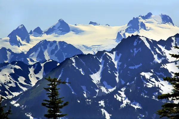 Olümposz hóban hegyek hurrikán ridge olympic nemzeti pa — Stock Fotó