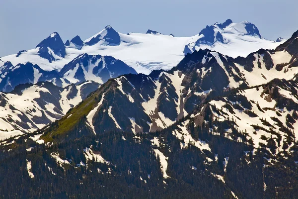 Mount olympus sneeuw bergen orkaan ridge Olympische nationale pa — Stockfoto
