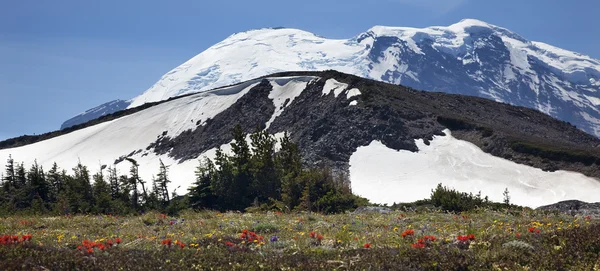 Mont Rainier Lever de soleil Fleurs sauvages Neige — Photo