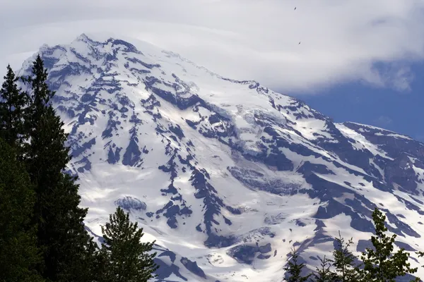Monte Rainier con águilas —  Fotos de Stock