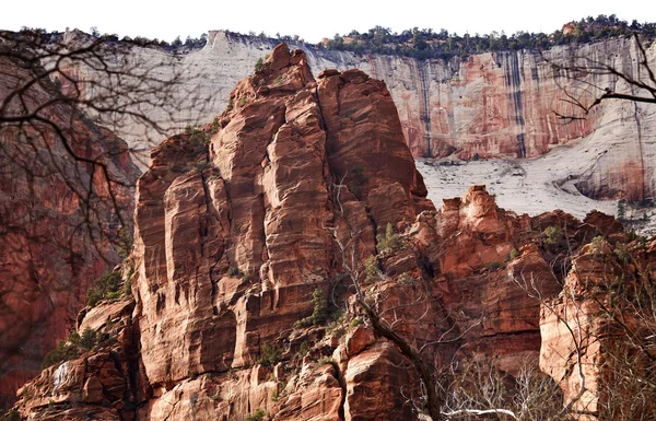 Kırmızı kayalar büyük beyaz tahta zion Kanyon Milli Parkı utah — Stok fotoğraf