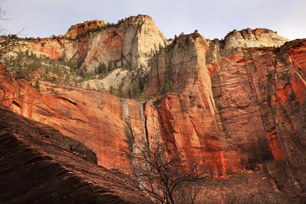 Punainen Valkoinen Kanjoni Seinät Temppeli Sinawava Zion Canyon National P — kuvapankkivalokuva
