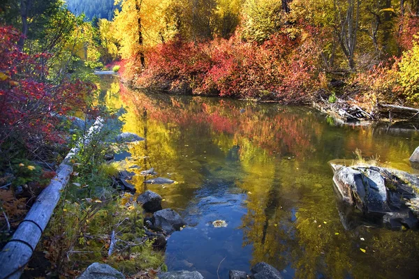 Colores de otoño Rocas Wenatchee River Stevens Pass Leavenworth Washi —  Fotos de Stock