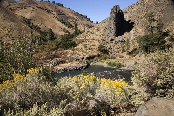 Yakima River and Desert with Yellow Flowers Washington — Stock Photo, Image