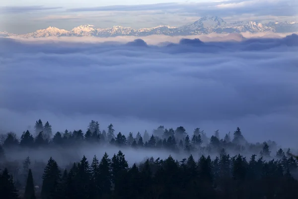 Seattle sob a névoa — Fotografia de Stock