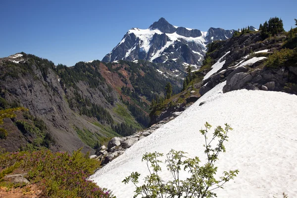Schneefelder Heidekraut Künstler Point Mount Shuksan Washington Staat — Stockfoto