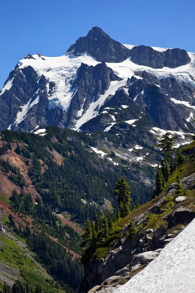 Schnee Evergreens Künstler Point Mount Shuksan Washington Staat — Stockfoto