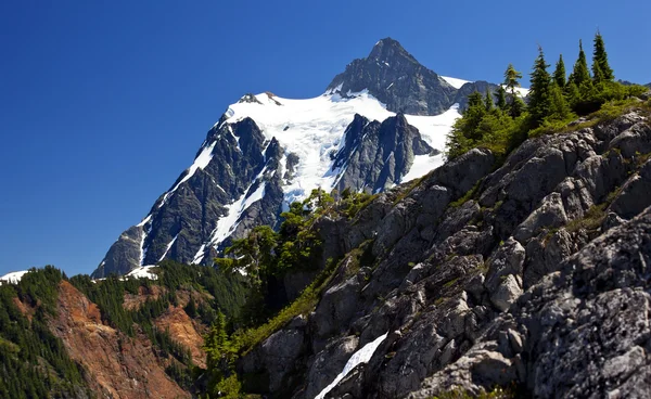 Mount Shuksan Close Up Evergreens Ponto de Artista Estado de Washington — Fotografia de Stock