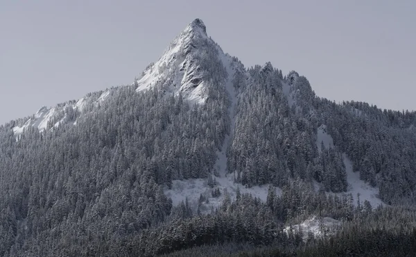 McClellan butte snow mountain snoqualme passera washington — Stockfoto