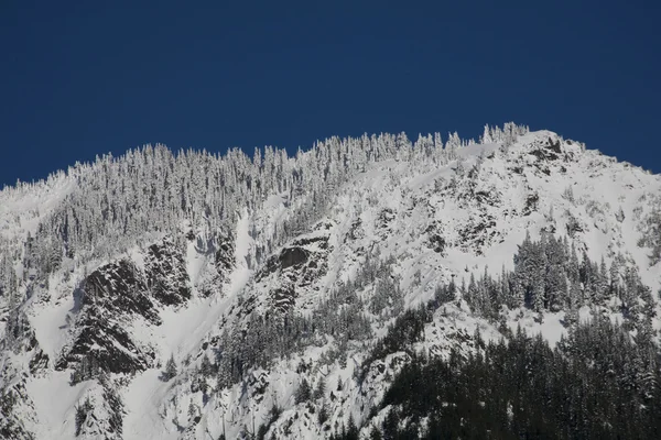 雪覆盖的树木和山，snoqualme 的通行证，华盛顿 — 图库照片