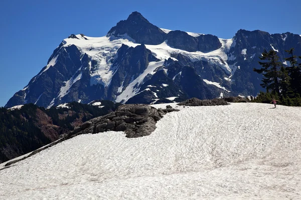 Schneefelder Künstler Point Mount Shuksan Washington Staat — Stockfoto