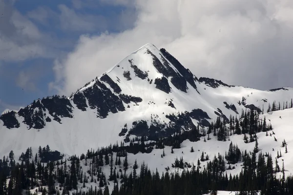 Snötäckta berg rainier nationalpark washington — Stockfoto