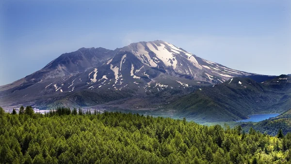 Forest Lake Mount Saint Helens Nationalpark Washington — Stockfoto