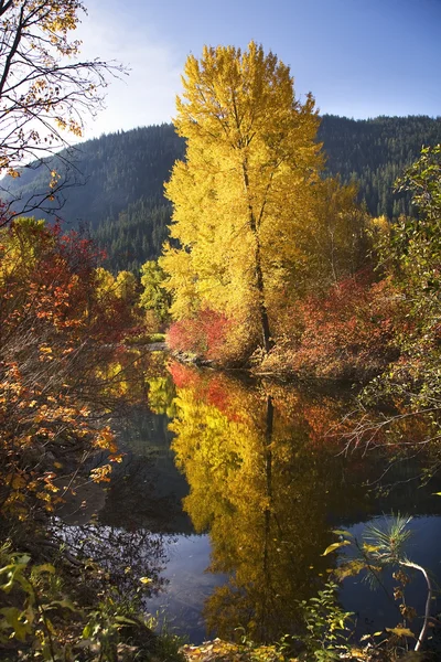 Na podzim barev wenatchee river stevens pass leavenworth washington — Stock fotografie