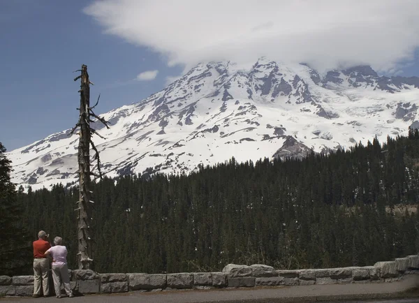 Turister kigger på Mount Rainier - Stock-foto