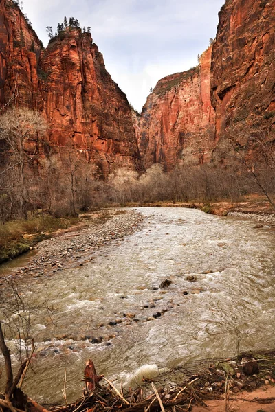 Virgin river zion canyon national park (Utah) — Stockfoto