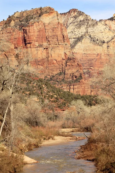 Jungfräulicher Fluss Zion Canyon Nationalpark utah — Stockfoto