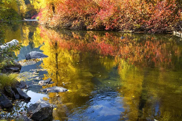 Na podzim barev wenatchee river stevens pass leavenworth washington — Stock fotografie