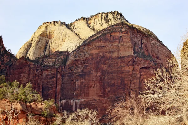 Stort vita tronen zion canyon nationalpark utah — Stockfoto