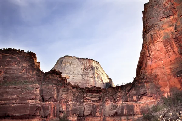 Great White Throne Red Rock Walls Zion Canyon National Park Utah — Stock Photo, Image