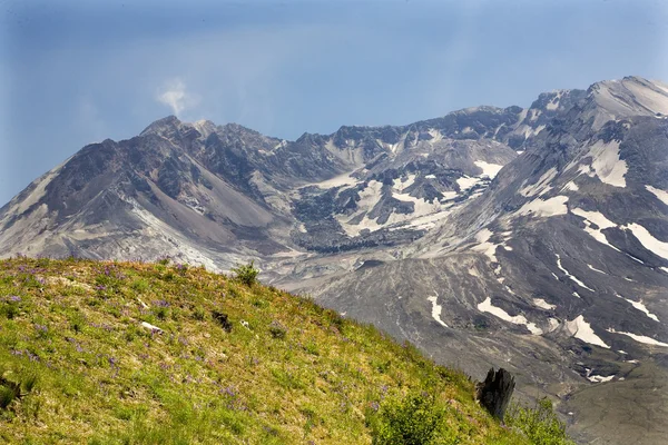Caldera Lavadome Mount Saint Helens Vulkan Nationalpark washi — Stockfoto