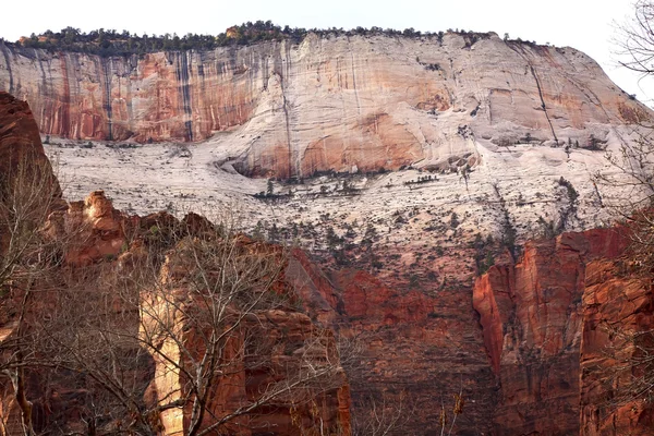 Zion Kanyon Milli Parkı utah büyük beyaz tahta red rocks — Stok fotoğraf