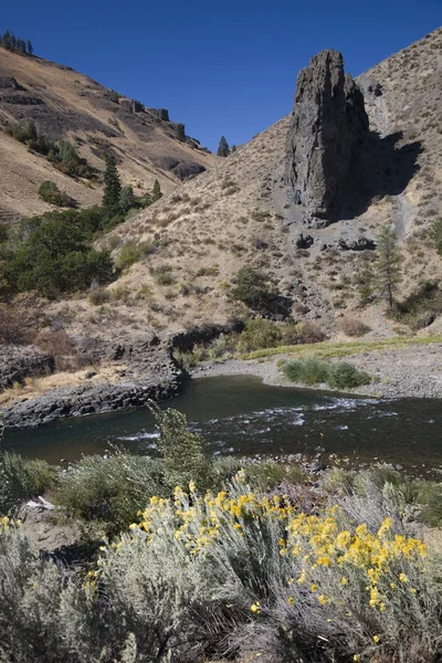 Río Yakima con flores amarillas — Foto de Stock