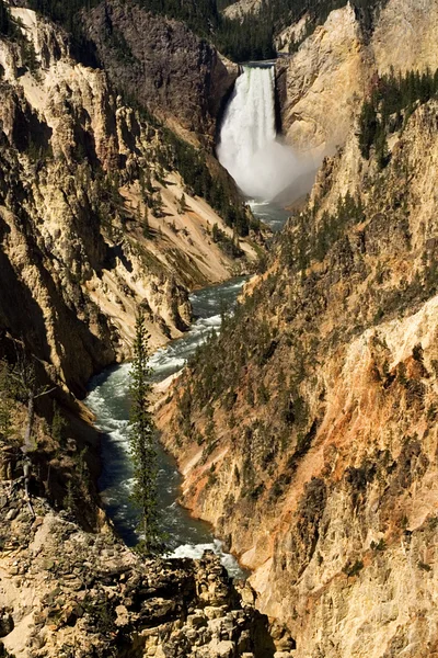 Yellowstone falls och canyon yellowstone nationalpark — Stockfoto