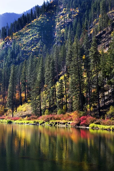 Sonbahar renkleri wenatchee nehir yansımaları sarı dağ leavenwo — Stok fotoğraf
