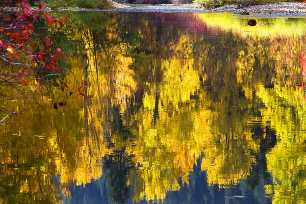 Sonbahar renkleri wenatchee nehir relections stevens geçiş izni orman — Stok fotoğraf